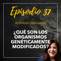 37 ¿Qué son los organismos genéticamente modificados?