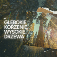 EP #376 Oliwa, nie z oliwek - Daniel Różański