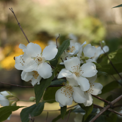 Marc Camero - Explorando La Realidad Presente