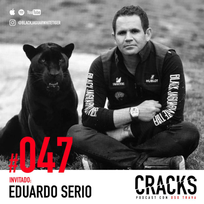 Cracks Con Oso Trava