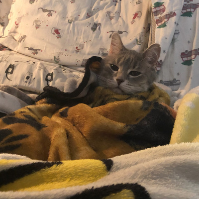 Just Whatever W/ Jamie  Caleb