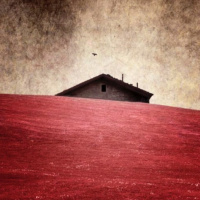 E DAHL!! TALK WEIGHTLIFTING!