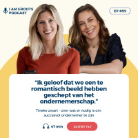 #95 Tineke Zwart - wat er nodig is om succesvol te ondernemen