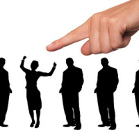 Conoce Tradertwit PRO