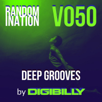 Randomination V050 - Deep Grooves