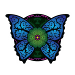 Rainforest Healing Center Podcast