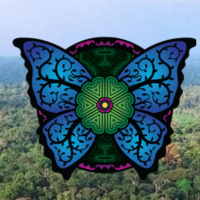 Fascia, Yoga and Plant Medicine