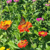 Navigating Your Spiritual Path