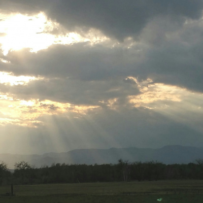 Reiki For Healing Your Life