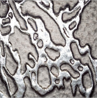 Forrest Maready | The Moth In The Iron Lung, Metallic Medicine,  Industrial Chemicals