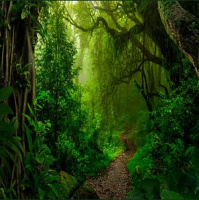 Gordon White | Ani.Mystic, The Living Cosmos,  Universal Agency