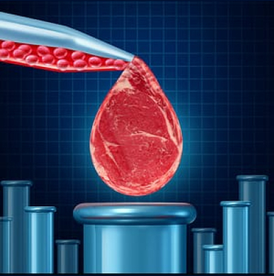 The Higherside Chats Conspiracy Podcast