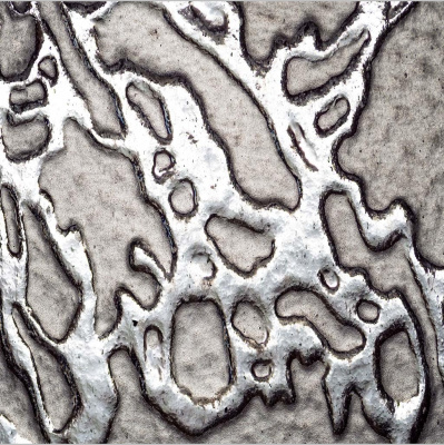 The Higherside Chats Conspiracy Podcast