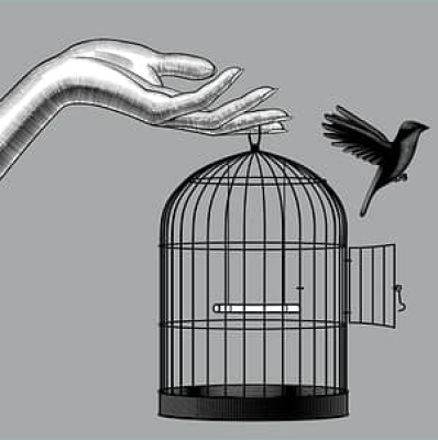 The Higherside Chats Conspiracy Podcast