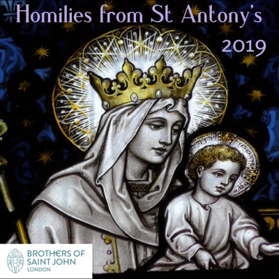 Homilies For 2019 St Antony Of Padua Forest Gate