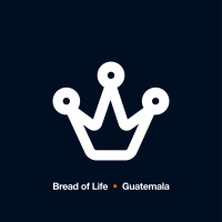 La única cosa que Dios no llena - Stevan Marroquín