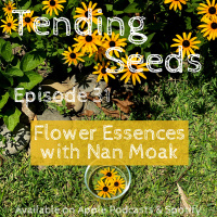 Ep 31 - Flower Essences with Nan Moak