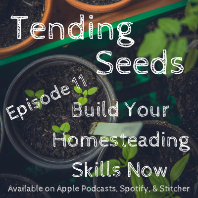 Tending Seeds: Adventures In Homesteading And Herbalism