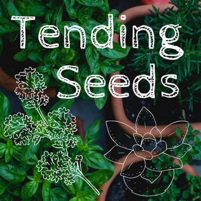 Tending Seeds: Adventures In Homesteading And Herbalism
