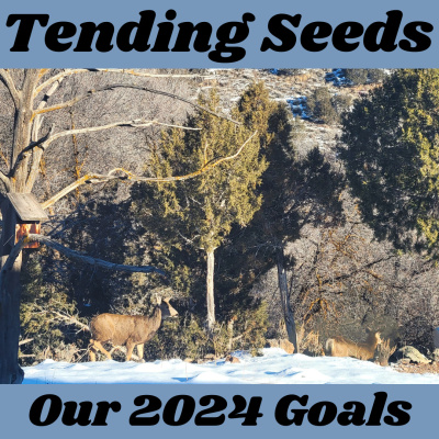 Tending Seeds: Adventures In Homesteading And Herbalism