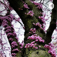 Been a while. And may be a while. 