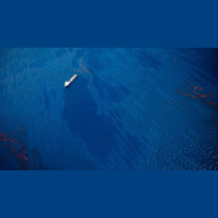 Todo mundo quer seus dados, mas ninguém parece capaz de resguardá-los