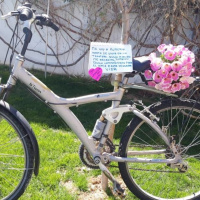 El Alcalde la Bici de Madrid y Bicis para Almería - Viajando Despacio 168