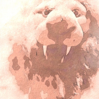 Gitte Godtså og Lise Lissom Bjerglægen