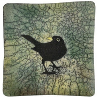 Solsortenætter 8. 1972-74