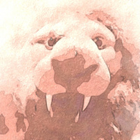 Gitte ringer til Lise