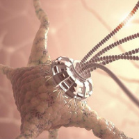 Huevo 4.0 | #1 Nanogénesis