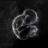 Huevo 4.0 | #4 Noción