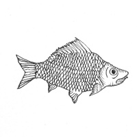 Puntata #17 - CENISIA