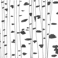 Puntata #12 - FALCHERA