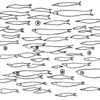 Puntata #15 - CROCETTA