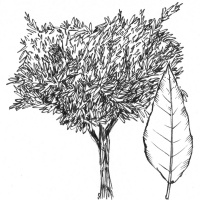 Puntata #13 - SANTA RITA