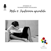 #39 Meta 4: Insuficiencia asumida.