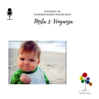 #38 Meta 3: Venganza