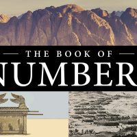 Book of Numbers (3)