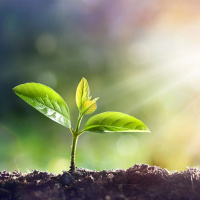 (يوسف النجار) سلسلة حياه (1)