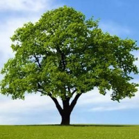 I Was Blind, Now I See أَنِّي كُنْتُ أَعْمَى وَالآنَ أُبْصِرُ