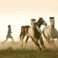 كيف تباري الخيل؟ - How Can You Contend With Horses