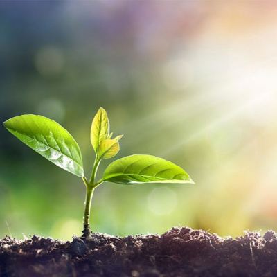 Hymns/bible Study/sermons/general Topics