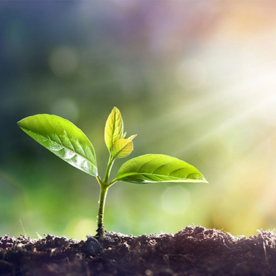 Hymns/bible Study/sermons/general Topics