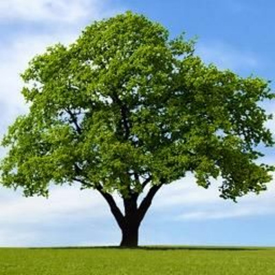 Hymns/bible Study/sermons/general Topics