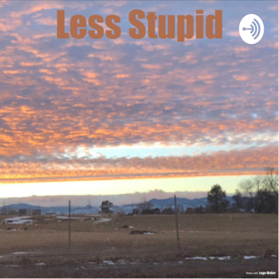Less Stupid