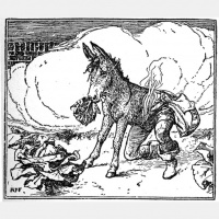 07 The Donkey Cabbages