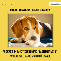 Podcast 141: Gdy szczeniak zasiedział się w hodowli - na co zwrócić uwagę