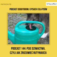 Podcast 144: Psie dziwactwa, czyli Jak zrozumieć rutyniarza