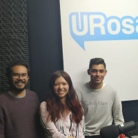 La importancia de las categorías